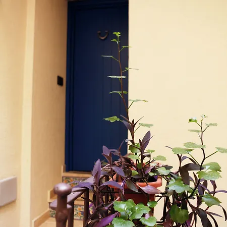 Apartment Rosa Dei Venti Trapani